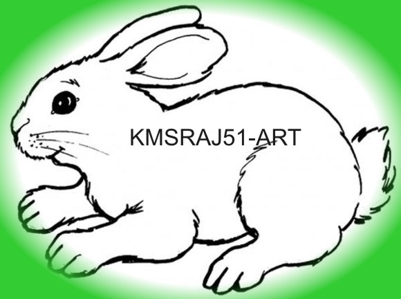 Mera Pyara Rabbit ~ kmsraj51 Art