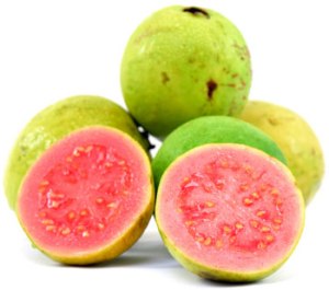 guava-1
