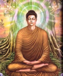bbuddha