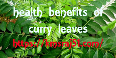 kmsraj51-curry-leaves