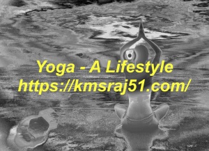 yoga-lifestyle-kmsraj51